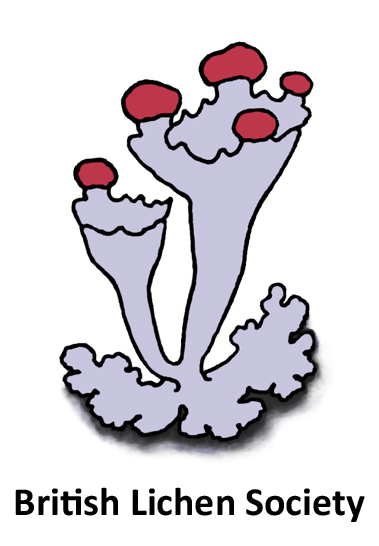 British Lichen Society logo